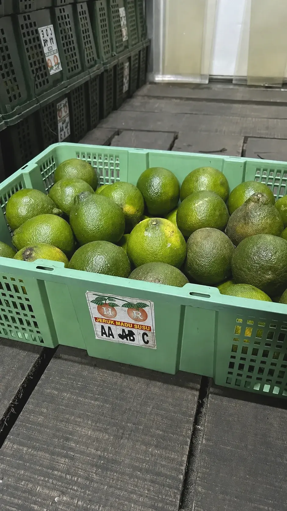 Madu Susu AB Jerpon HR