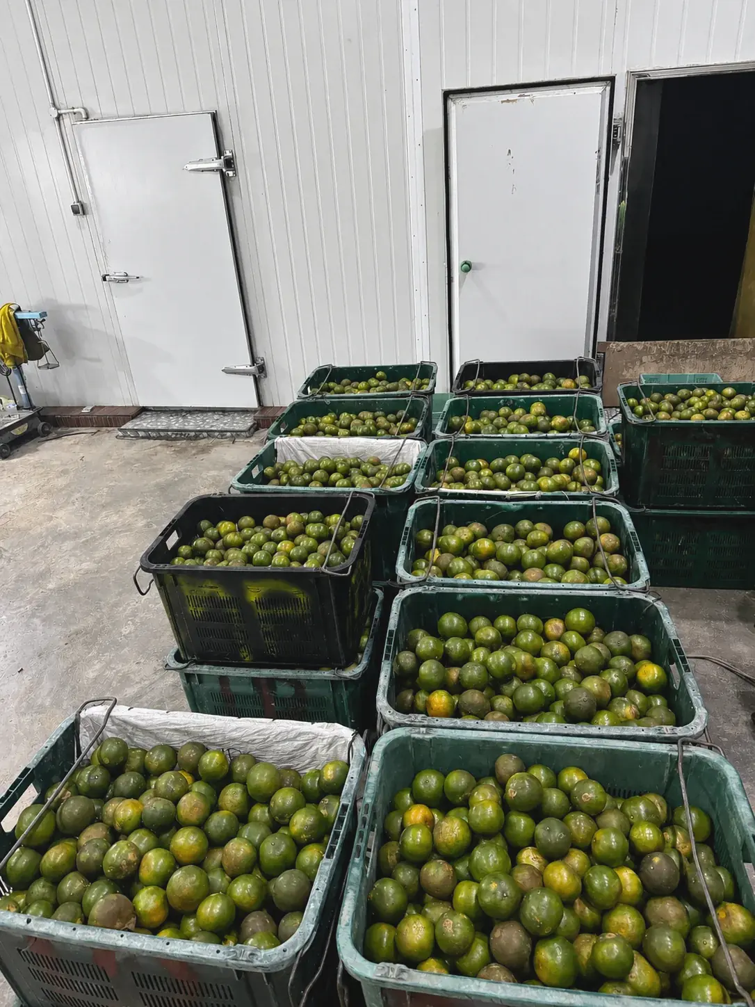 Batch siap diperiksa Jerpon HR