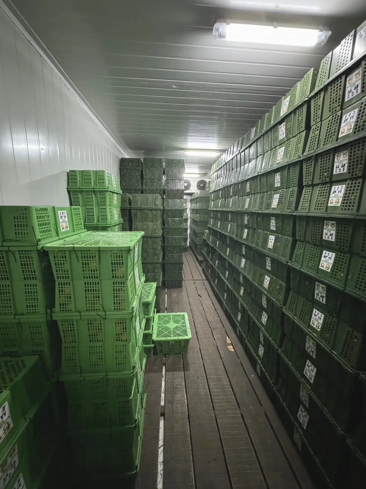 Ruang dingin penuh stok Jerpon HR